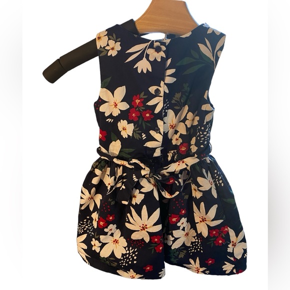 Carter's Toddler Girls Sleeveless Fit + Flare Dress Size 3T - Picture 4 of 6